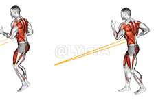 Resistance Band Jump Lunge with Single Arm Row demonstration