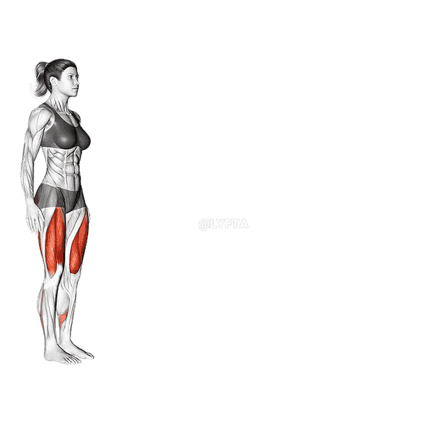 Walking Lunge demonstration