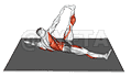 Starfish Crunch demonstration