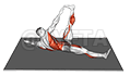 Starfish Crunch demonstration