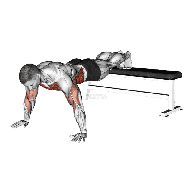 Decline Shoulder Tap demonstration