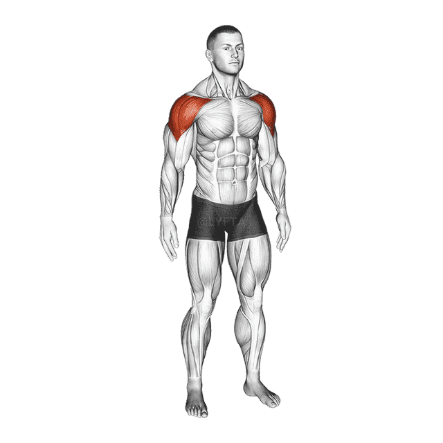 Mid Air Lateral Raises With Switching Palms demonstration