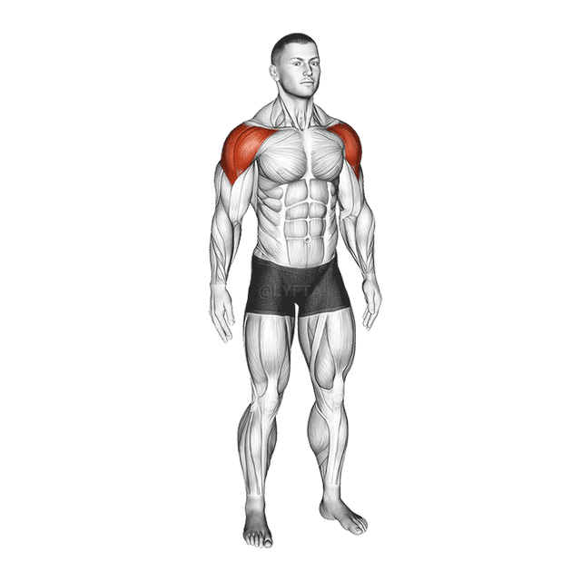 Mid Air Lateral Raises With Switching Palms demonstration