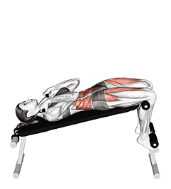 Band Decline Sit up demonstration