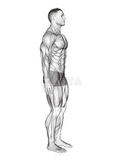 Standing Back Extension And Flexion demonstration