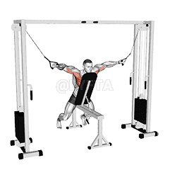 Cable Fly with Chest Supported demonstration