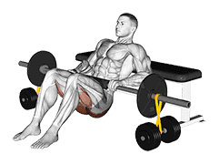 Barbell Hip Thrust with Resistance Band demonstration