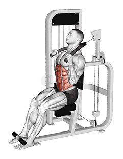 Lever Seated Full Crunch demonstration
