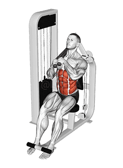 Lever Seated Left Side Crunch demonstration