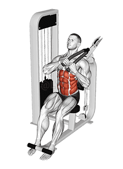 Lever Seated Right Side Crunch demonstration