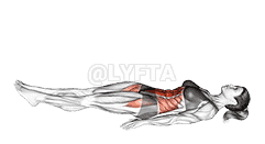 Jack knife Sit-Up demonstration