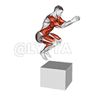 Jump on Fit-Box demonstration