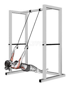 Inverted Row with Straps demonstration