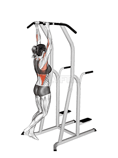 Hammer Grip Pull-up on Dip Cage demonstration