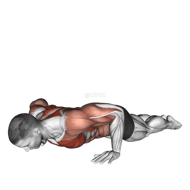 Bodyweight Kneeling Push-up Row demonstration