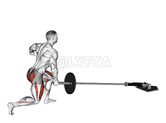 Landmine Rear Lunge demonstration