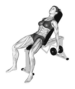 Dumbbell Incline Shrug demonstration