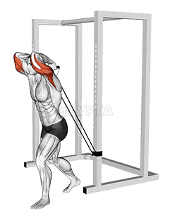 Band overhead triceps extension demonstration