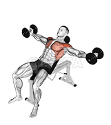 Dumbbell Incline Around the World demonstration