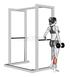 Dumbbell Single Leg Calf Raise demonstration
