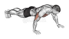 Push-up Hand by Hand demonstration