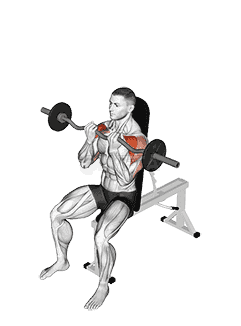 EZ-bar Seated Close grip Shoulder Press demonstration