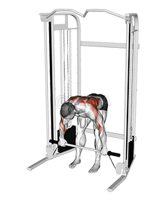 Cable Bent Over Row with Bar demonstration