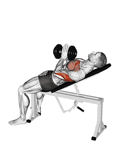 Dumbbell Incline Close-grip Press Variation demonstration