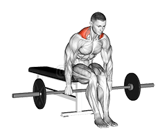 Barbell Seated Shrug demonstration