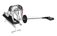 Landmine One Arm Bent-Over Bench Row demonstration