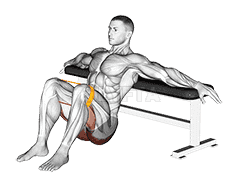 Resistance Band Hip Thrusts demonstration