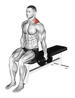 Dumbbell Seated Gittleson Shrug demonstration