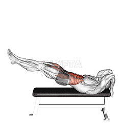 Leg Raise Dragon Flag demonstration
