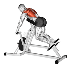 Lever Lying Banded T-bar Row demonstration