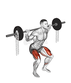 Barbell Squat with Chains demonstration