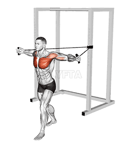 Band Chest Fly demonstration