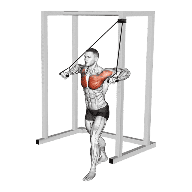 Band Low Alternate Chest Press demonstration