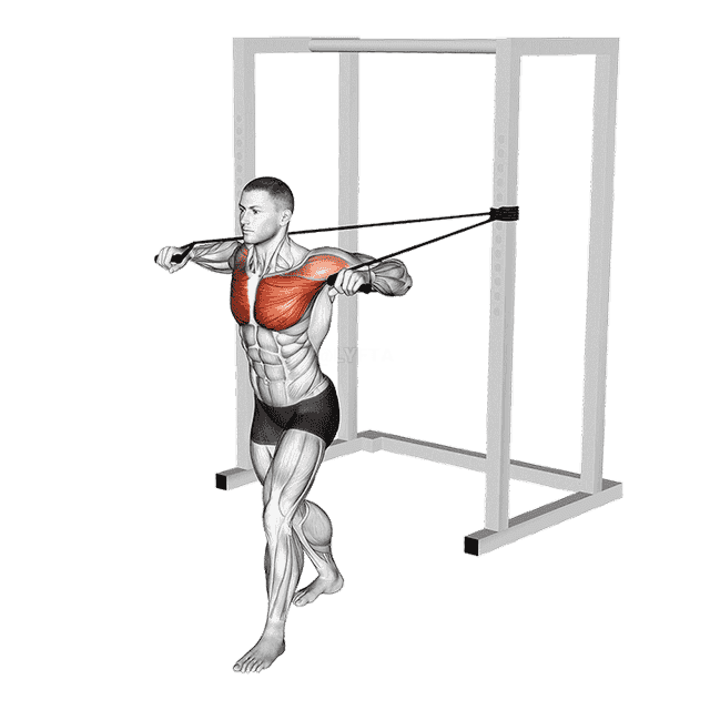 Band Standing Alternate Chest Press demonstration