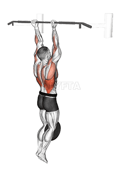 Weighted Chin-Up demonstration