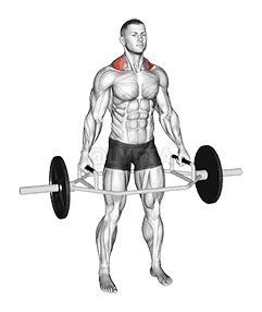 Trap Bar Standing Shrug demonstration