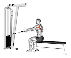 Cable Seated Horizontal Shrug demonstration
