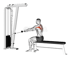 Cable Seated Horizontal Shrug demonstration