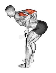 Band Triceps Kickback demonstration