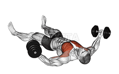 Dumbbell Floor Fly demonstration