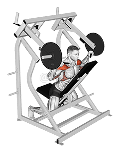 Lever Reverse Shoulder Press demonstration