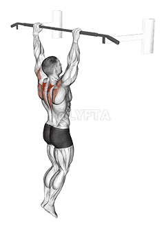 Hanging Scapular Shrug demonstration
