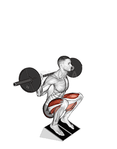 Barbell Elevated Heel Squat demonstration