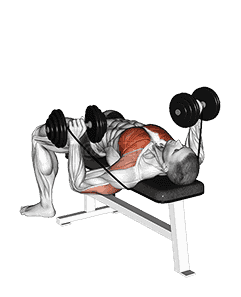 Dumbbell Banded Bench Press demonstration