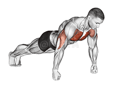 Knuckle Push-Up demonstration