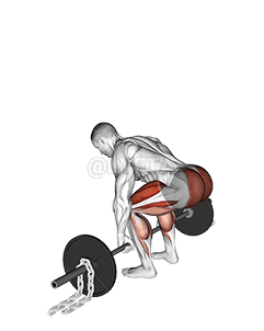 Barbell Deadlift against Chains demonstration